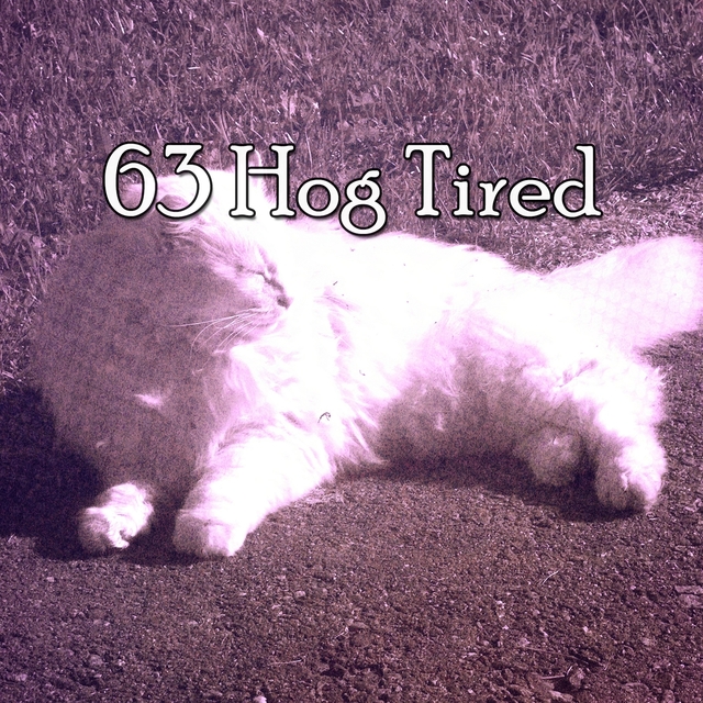 63 Hog Tired