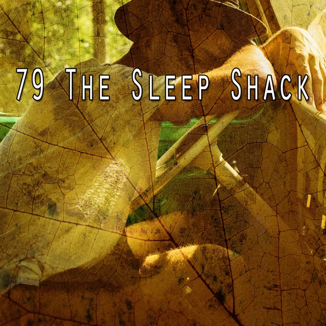 79 The Sleep Shack