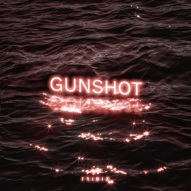 Couverture de Gunshot