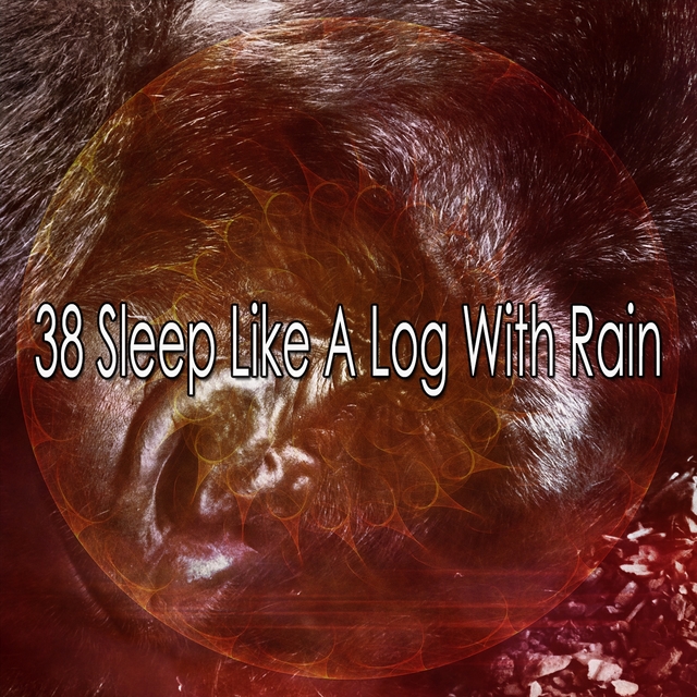 38 Sleep Like a Log with Rain