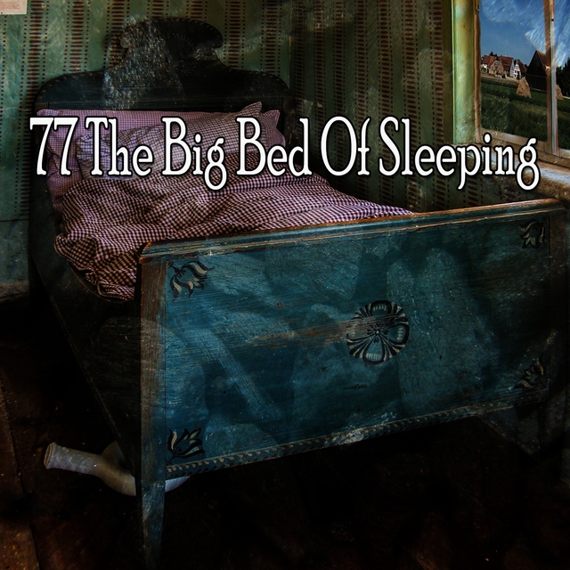 77 The Big Bed of Sleeping