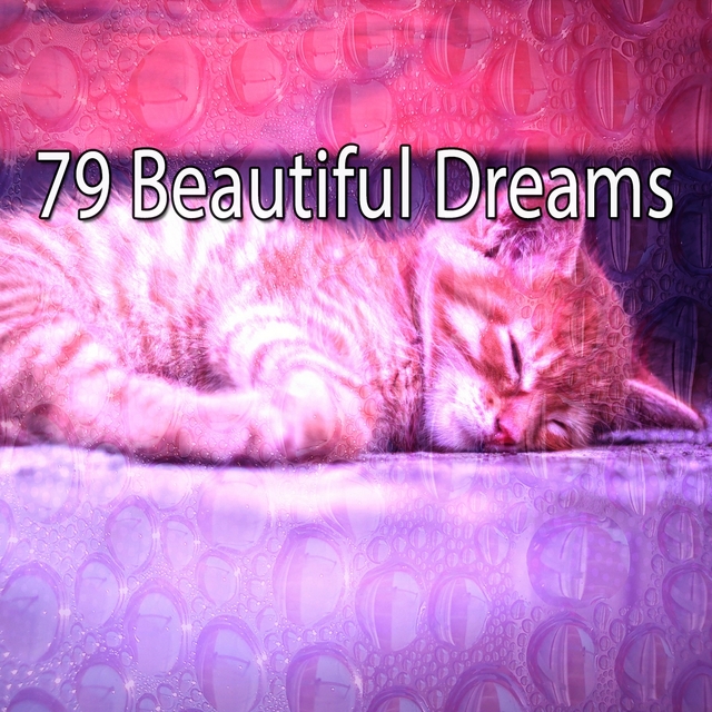 79 Beautiful Dreams