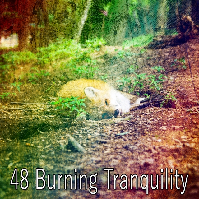 48 Burning Tranquility