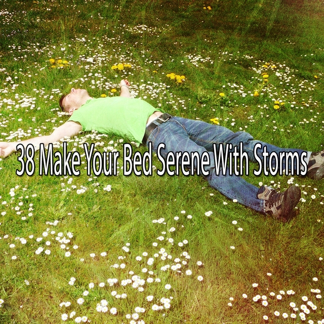 Couverture de 38 Make Your Bed Serene with Storms