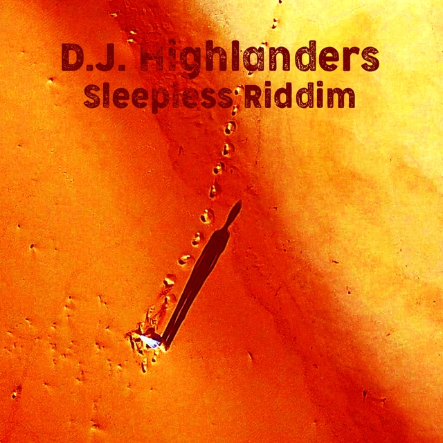 Couverture de Sleepless Riddim