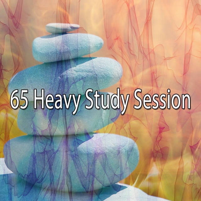 65 Heavy Study Session