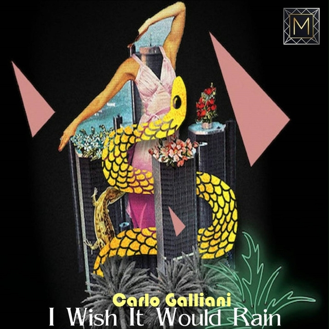 Couverture de I Wish It Would Rain