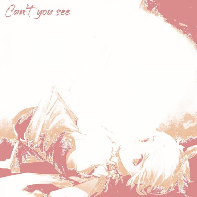 Couverture de Can't you see