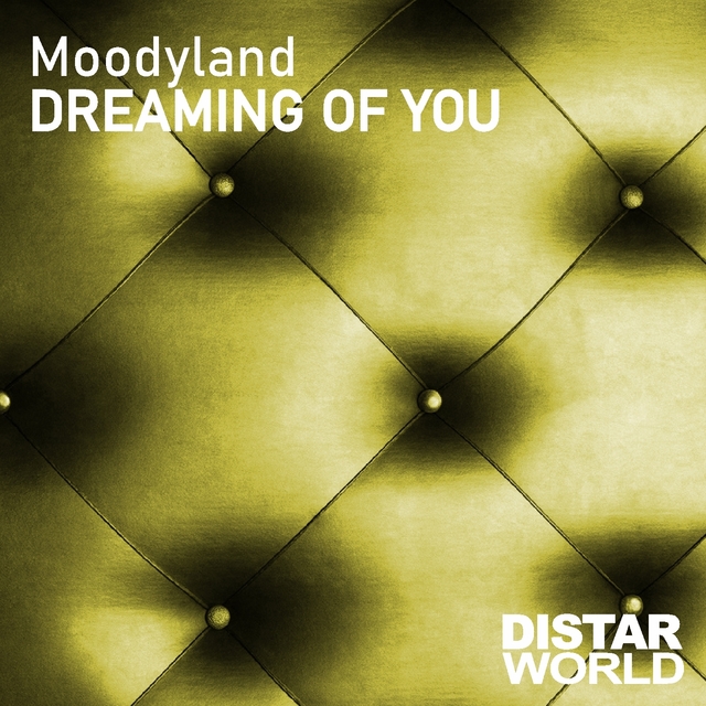 Couverture de Dreaming Of You