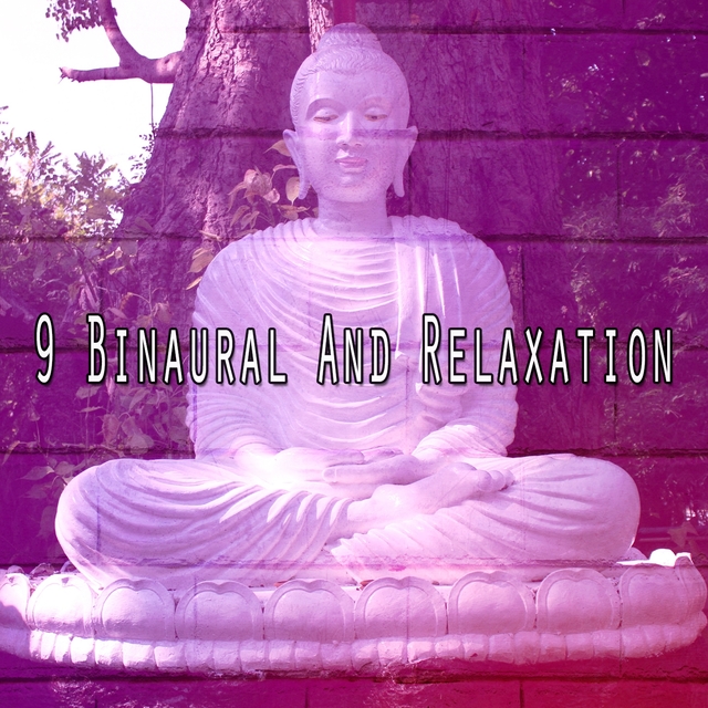 Couverture de 9 Binaural and Relaxation