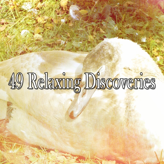 49 Relaxing Discoveries