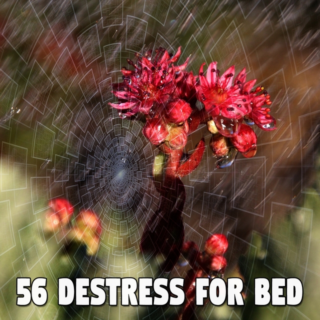 56 Destress for Bed