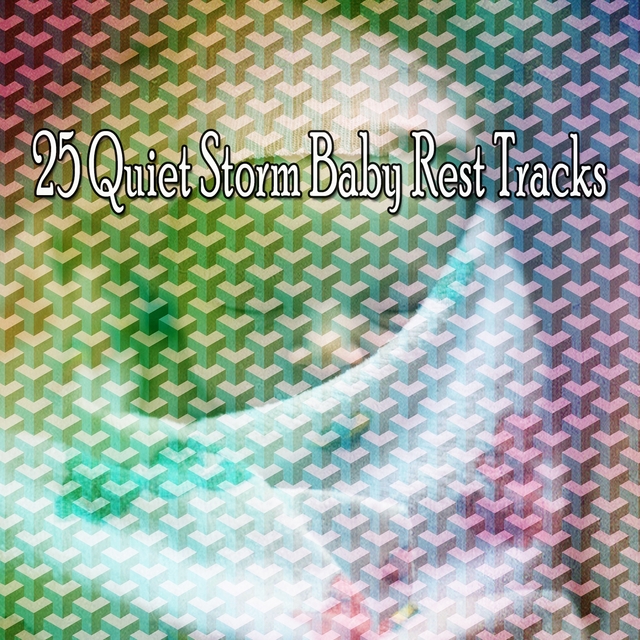 Couverture de 25 Quiet Storm Baby Rest Tracks