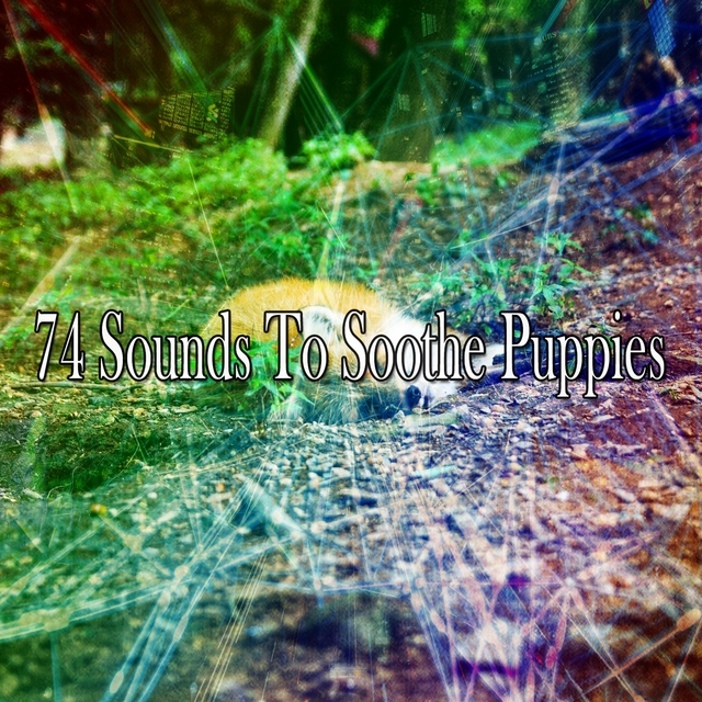 74 Sounds to Soothe Puppies