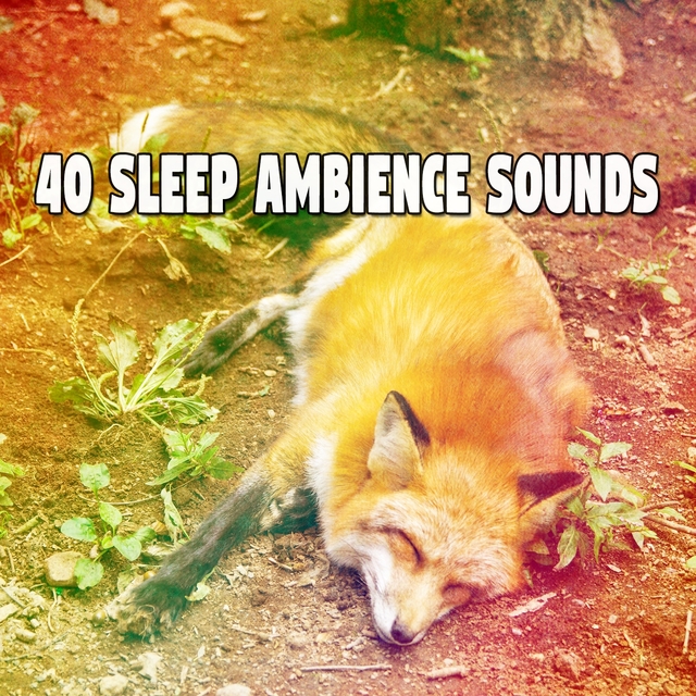 40 Sleep Ambience Sounds