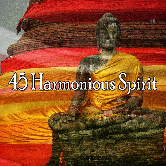 45 Harmonious Spirit