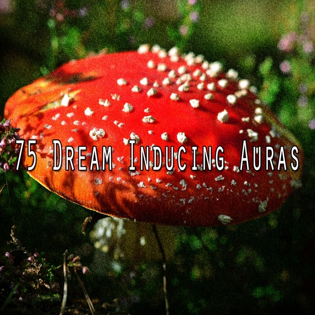 Couverture de 75 Dream Inducing Auras