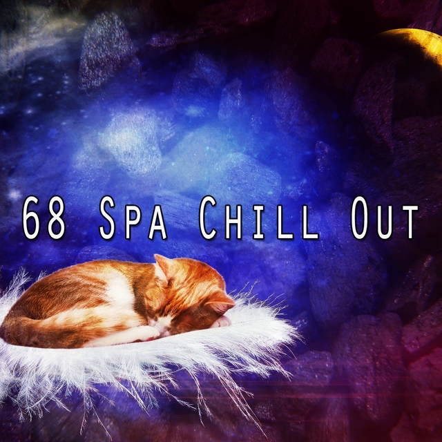 Couverture de 68 Spa Chill Out