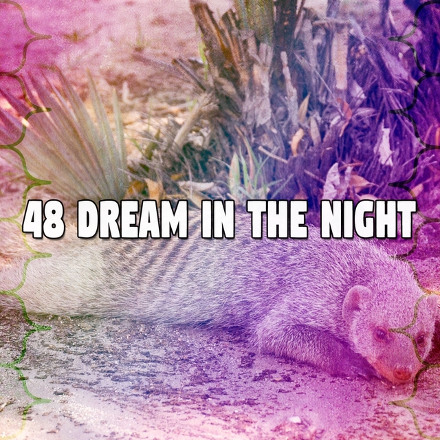 Couverture de 48 Dream in the Night
