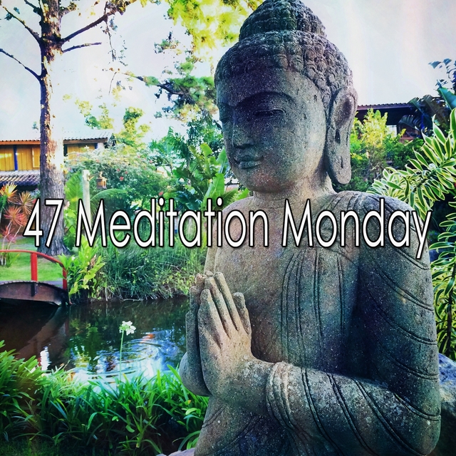 47 Meditation Monday