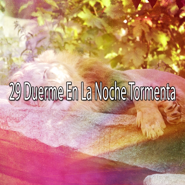 29 Duerme En La Noche Tormenta