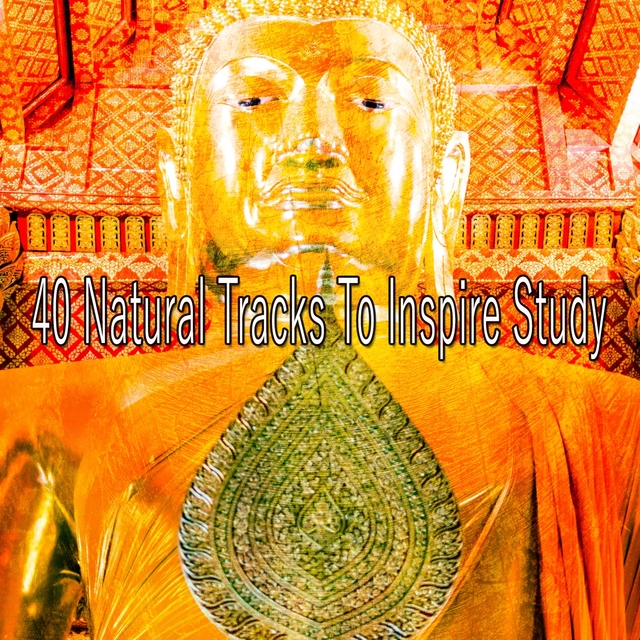 40 Natural Tracks to Inspire Study