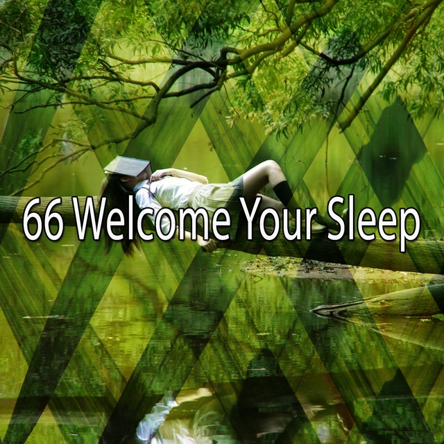 66 Welcome Your Sle - EP