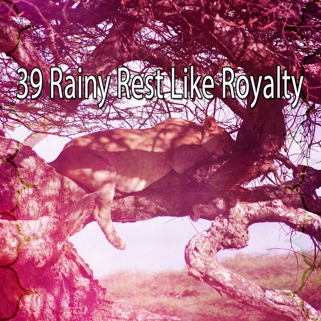 Couverture de 39 Rainy Rest Like Royalty