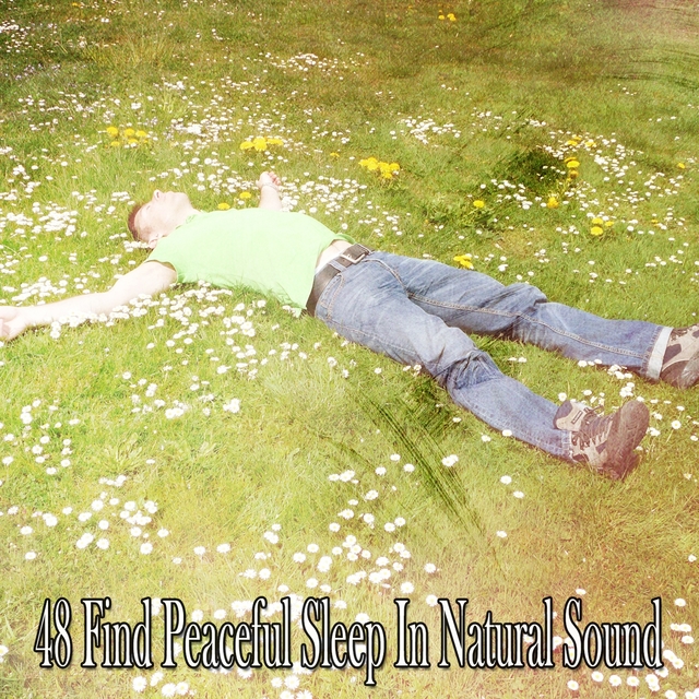 Couverture de 48 Find Peaceful Sleep in Natural Sound