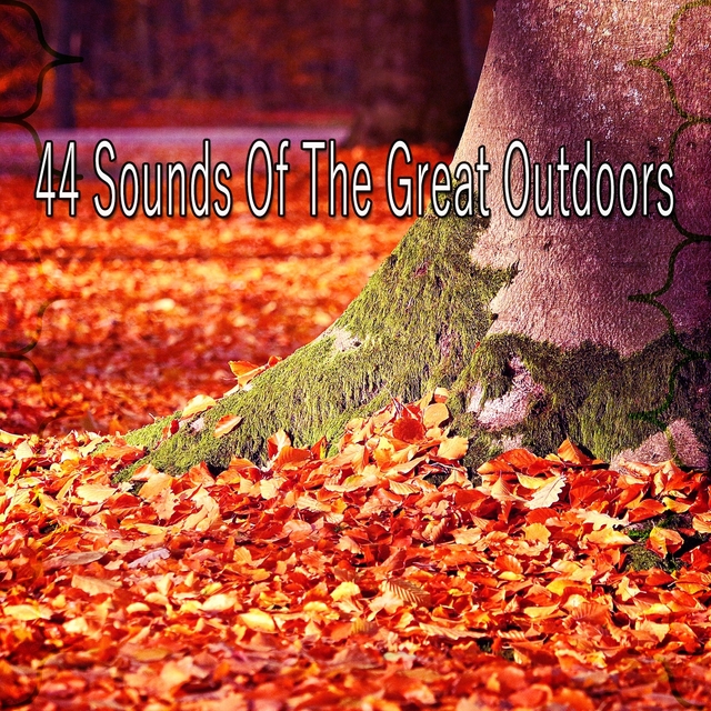44 Sounds of the Great Outdoors