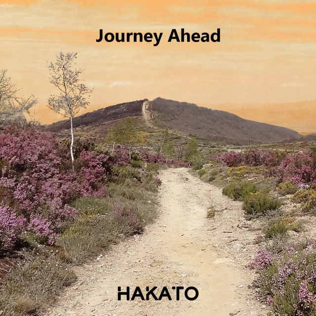 Couverture de Journey Ahead