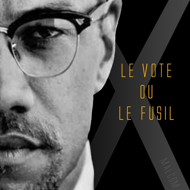 Couverture de Le vote ou le fusil