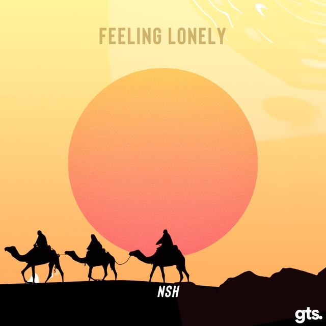 Couverture de Feeling Lonely