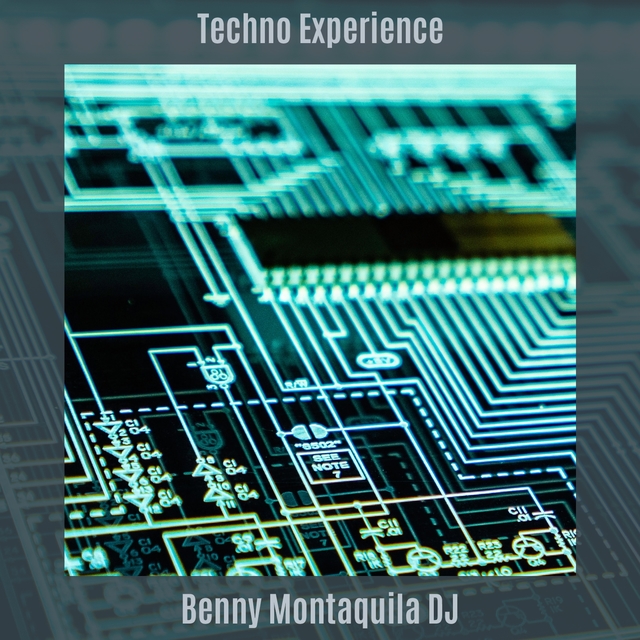 Couverture de Techno Experience