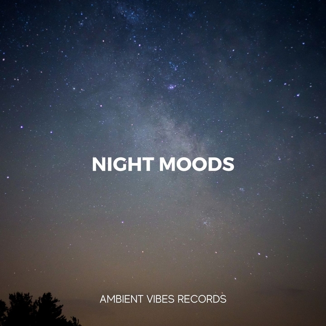 Couverture de Night Moods