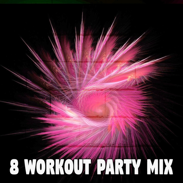 Couverture de 8 Workout Party Mix