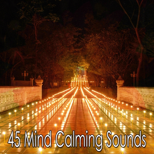 Couverture de 45 Mind Calming Sounds