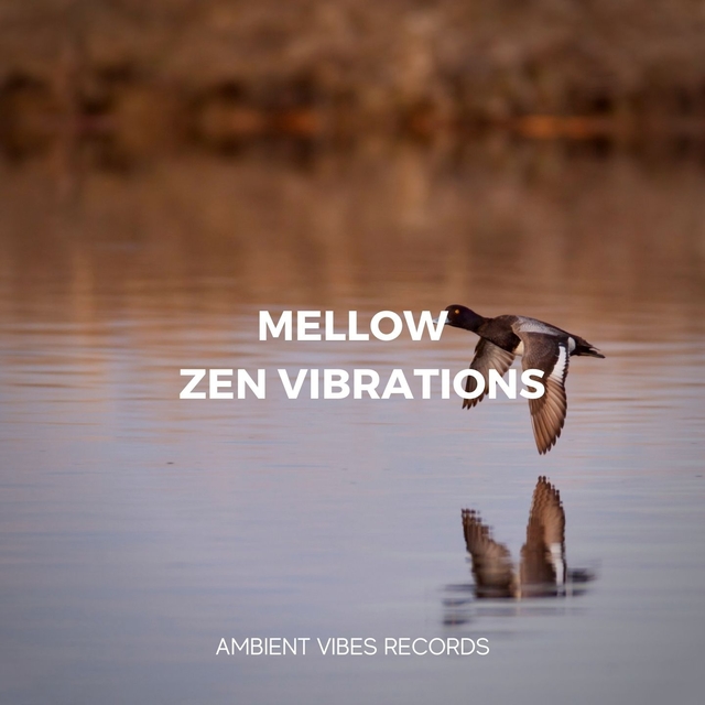 Mellow Zen Vibrations