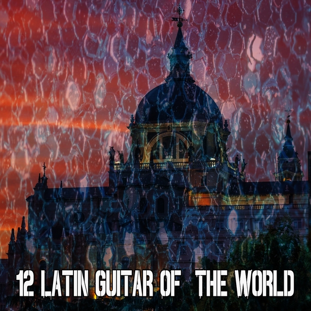 Couverture de 12 Latin Guitar of the World