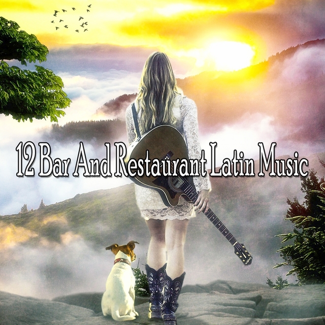 Couverture de 12 Bar and Restaurant Latin Music