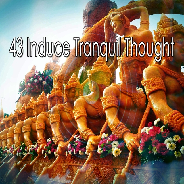 Couverture de 43 Induce Tranquil Thought