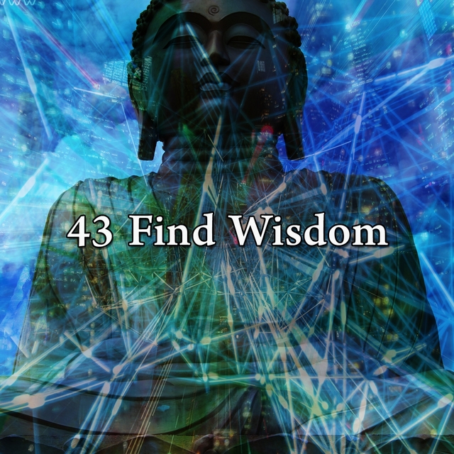 43 Find Wisdom