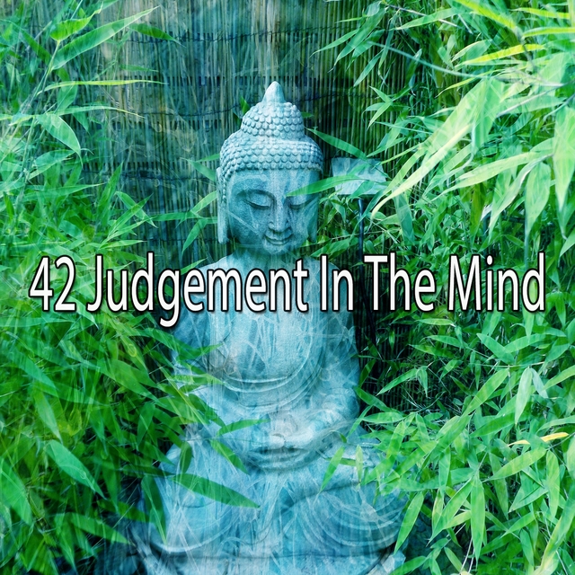 Couverture de 42 Judgement in the Mind