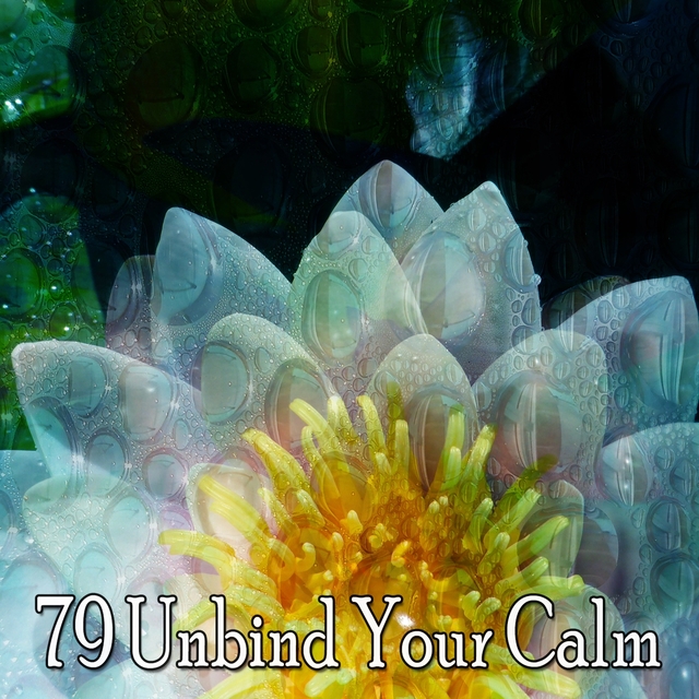 Couverture de 79 Unbind Your Calm