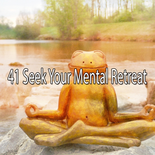 Couverture de 41 Seek Your Mental Retreat