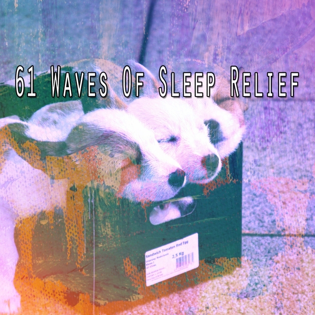 61 Waves of Sleep Relief