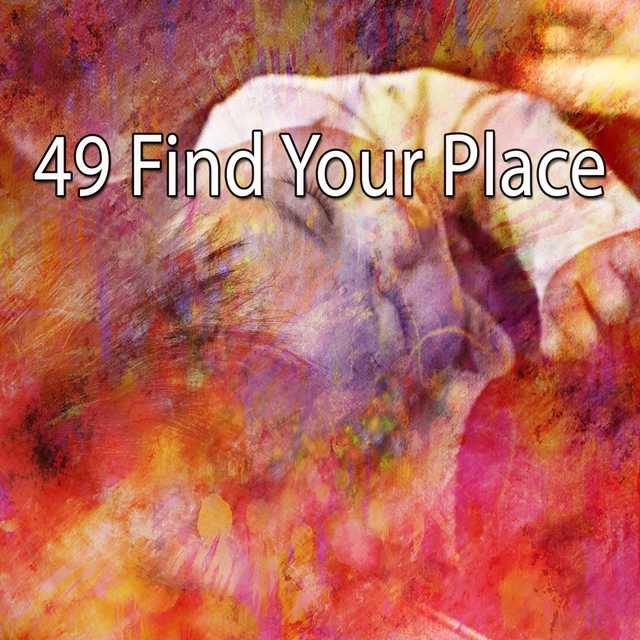 Couverture de 49 Find Your Place