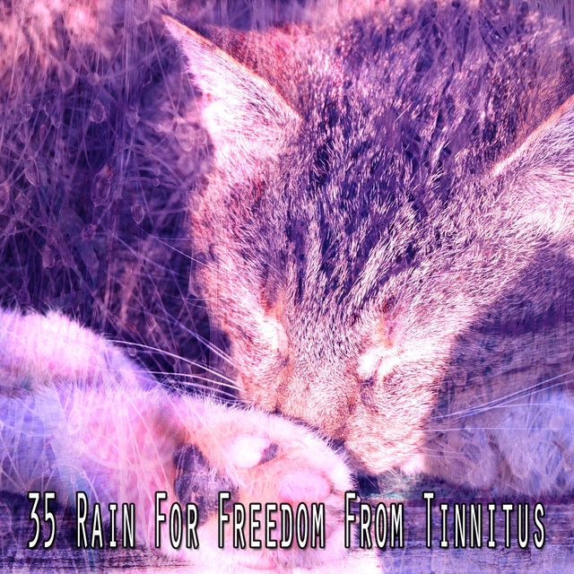 35 Rain for Freedom from Tinnitus