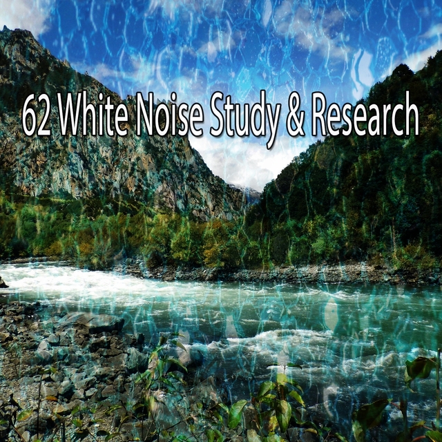 Couverture de 62 White Noise Study & Research