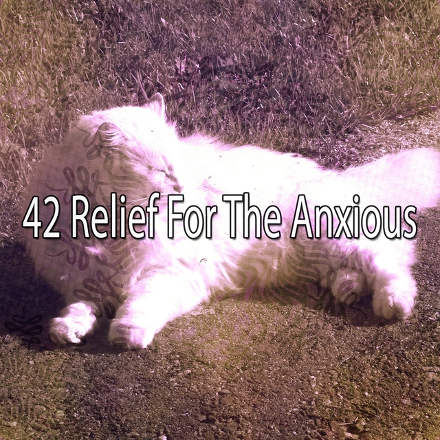 42 Relief for the Anxious